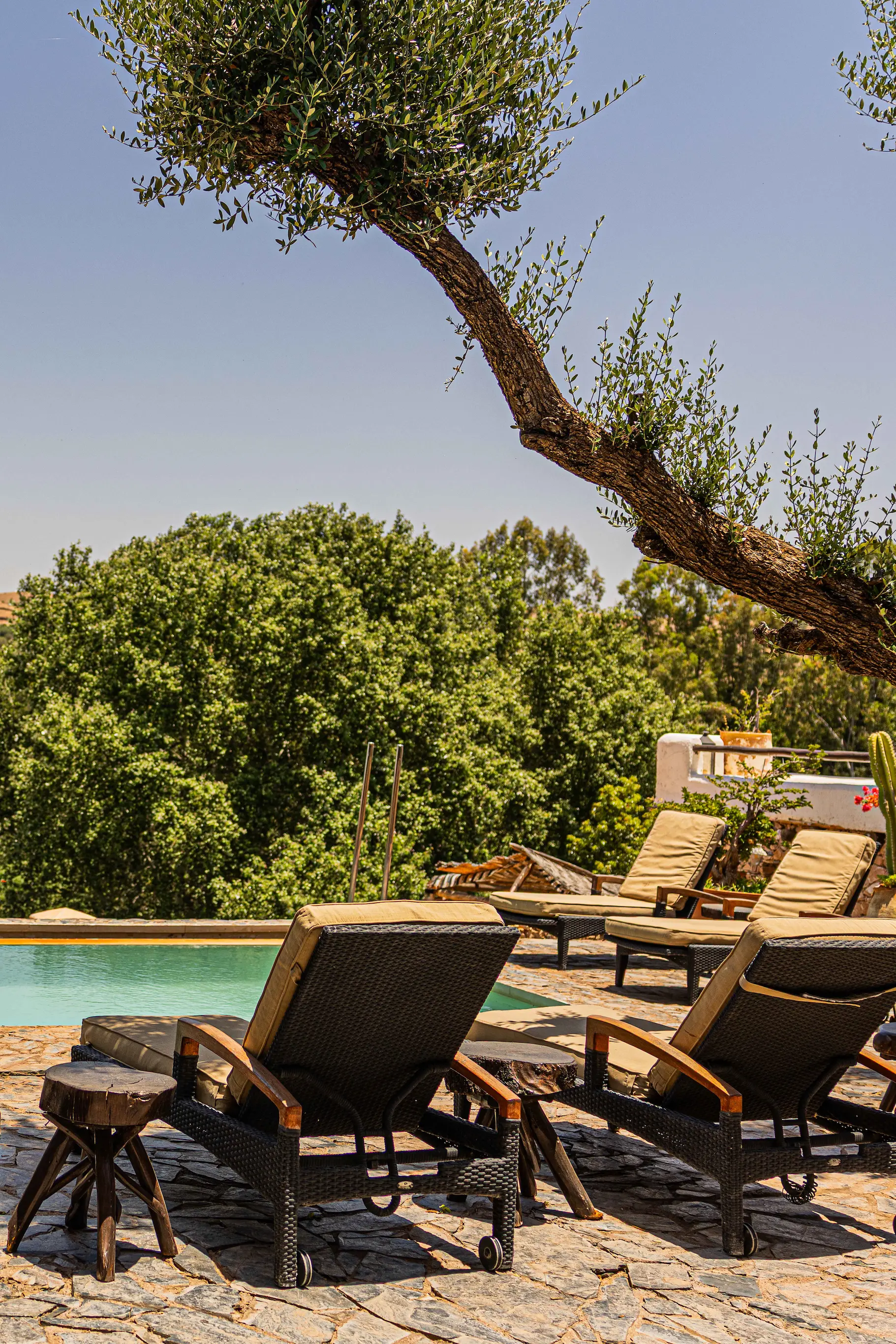 Sunset view over the luxury pool at Pure Farm House Marrakech, a boutique retreat near Agafay Desert and the Atlas Mountains
