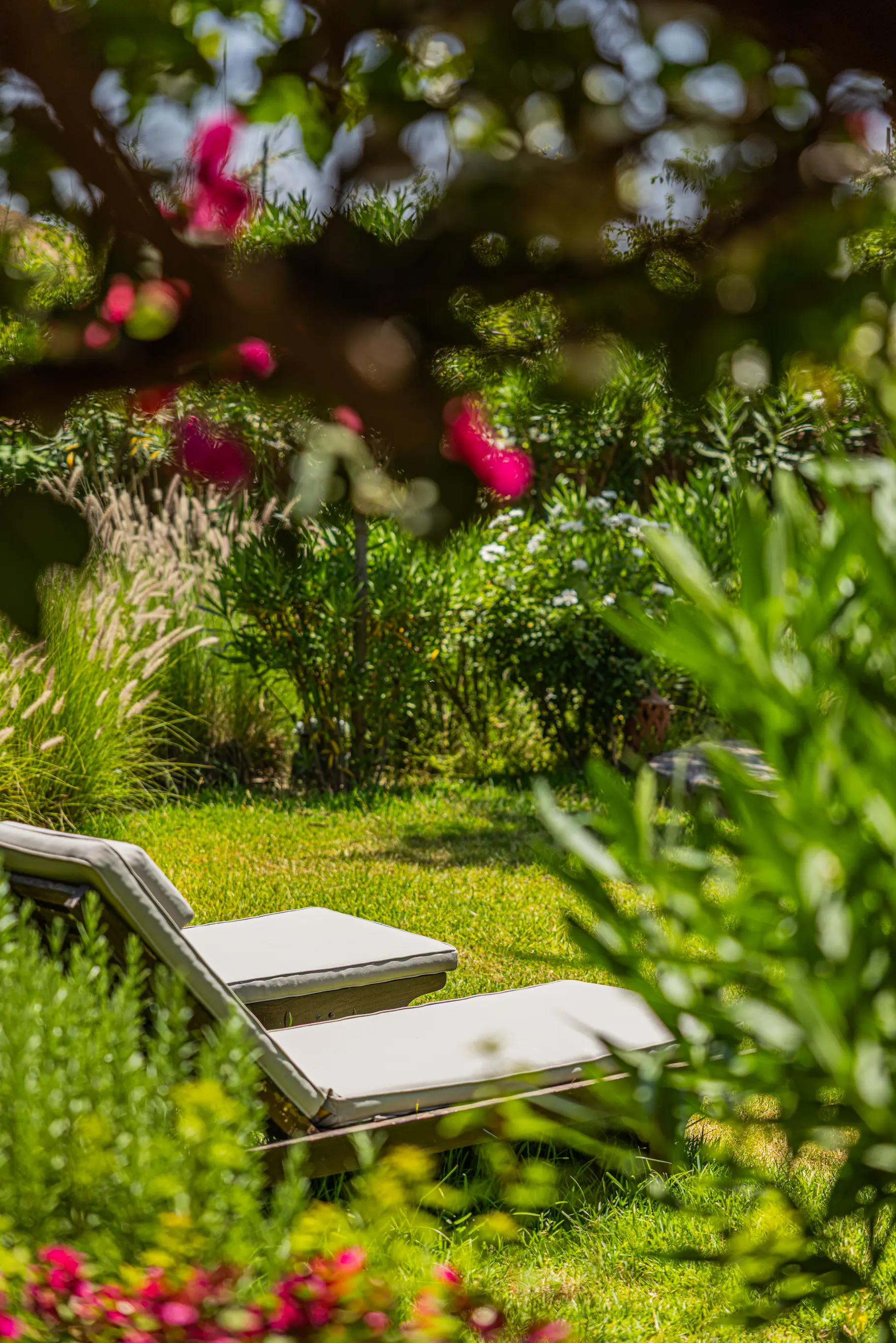 Serene natural landscape and authentic farm exterior at the exclusive Pure House estate near Marrakech