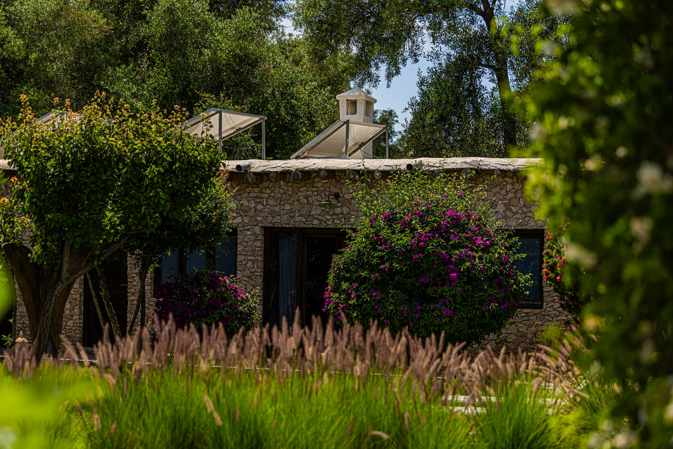 Oliveraie, Jardins Fleuris & Lodge en Pierre | Pure Farmhouse Marrakech Extérieur d'un éco-lodge en pierre entouré de bougainvilliers en fleurs, d'oliviers et de jardins luxuriants à Pure Farmhouse Marrakech